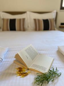 Studio apartment Dalmatia