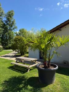 Parc de la Charmille