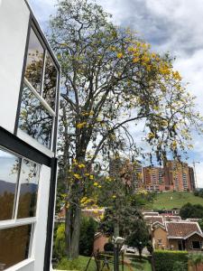 Mini Loft in Envigado