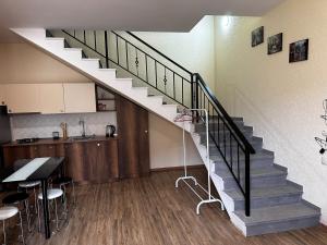 Apartment tipe house