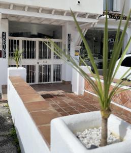 Amplio y luminoso apartamento en puerto banus