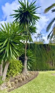 Amplio y luminoso apartamento en puerto banus