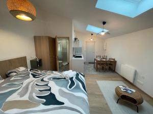 Zenith spacious studio in a central and quiet area near Basel