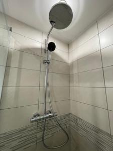 Zenith spacious studio in a central and quiet area near Basel