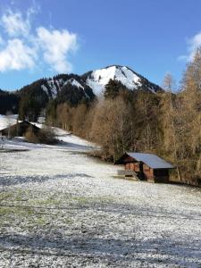 Chalet Familial spacieux et chaleureux