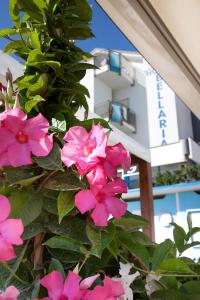 Hotel Bellaria