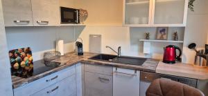 FERINO - exklusive Lage , zentral , ruhig