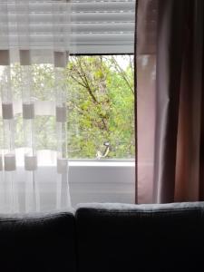 ODMOR PRESEKA - REST HOUSE PRESEKA