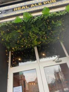 The Bear On The Square