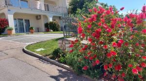 Ferienwohnung Katica