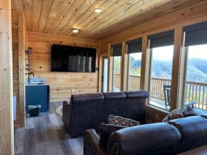 A Baby Bear, Free Tickets, NO CATCH!