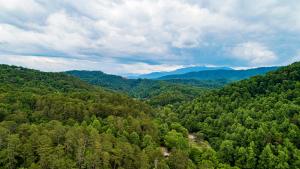 A Cabin to Remember, free tickets, no catch!