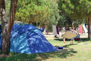 Campings Le Camping de la Plage : photos des chambres