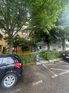 Lara Studio Exercitiu