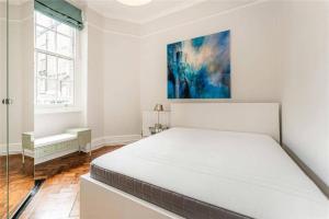 Newly Renovated 4 Bed Apartment in Marylebone - Sleeps 8