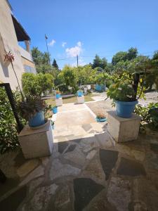 Tasos House