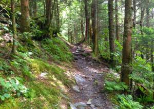 Misty Mountain Stop by Avada Properties