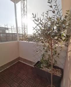 Casina del Sole