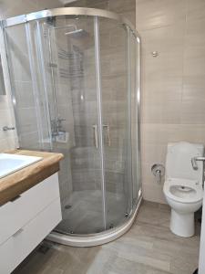 The Oligarchs Outlook