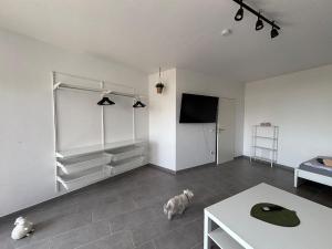 Moderne 3,5 Zimmer 85m2 & Balkon Wohnung