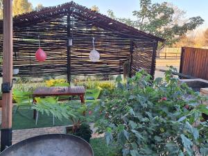 Windsong Living The Nest