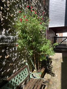 Maisons de vacances La maison Belle Maree : photos des chambres