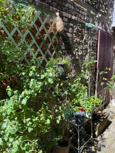 Maisons de vacances La maison Belle Maree : photos des chambres