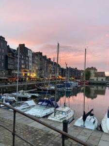 Maisons de vacances La maison Belle Maree : photos des chambres