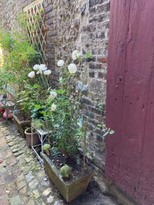 Maisons de vacances La maison Belle Maree : Maison 2 Chambres