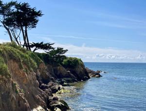 Maisons de vacances La Petite Maison : photos des chambres