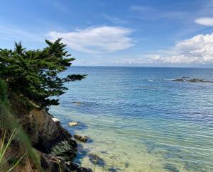 Maisons de vacances La Petite Maison : photos des chambres