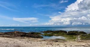 Maisons de vacances La Petite Maison : photos des chambres
