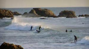 Maisons de vacances La Petite Maison : photos des chambres