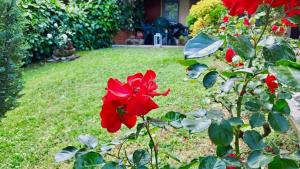 LAlba al Cascinale - by tourquoisevea