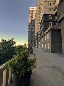 REKA Apartment Shartava