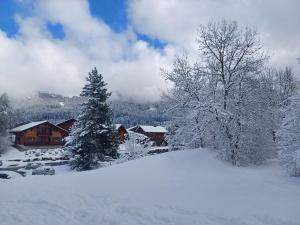 Appartements studio familial 4 couchages : photos des chambres