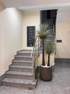 Aparthotel A&M VIÑA II