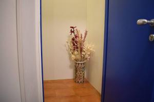 Cornabrugia Patio Apartment