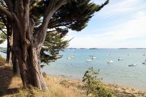 Appart'hotels Residence Odalys Les Iles du Morbihan : photos des chambres