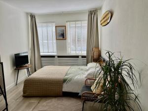 Beautiful surf style studio by the sea