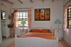 Yellow Bird Apartment - Saint Philip