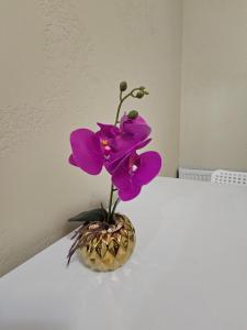 Дрім таун 2 кімнати,жд вокзал