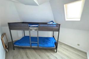 Saint Georges 31 - pairi daiza - Shape Mons