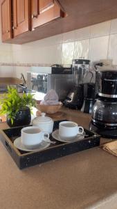 apartment tipo villa, guavaberry villa complex