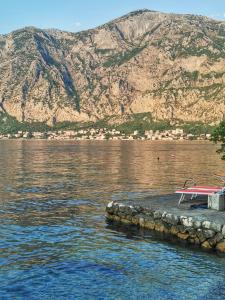 Apartman Vladan