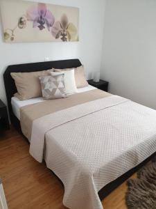 Apartment SaRa with pool