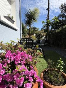 Appartements Residence Gue-81-pornichet - PORNICHET - APPARTEMENT PROCHE COMMERCES, GARE ET MER MAE-6073 : photos des chambres