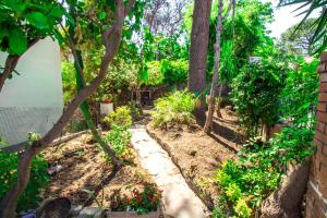 Villetta indipendente Ischia