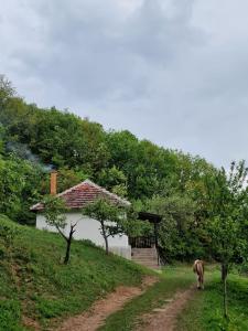 Domaćinstvo Ristović