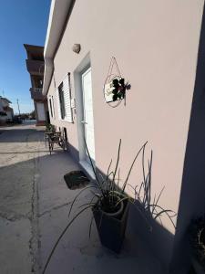Sunny house